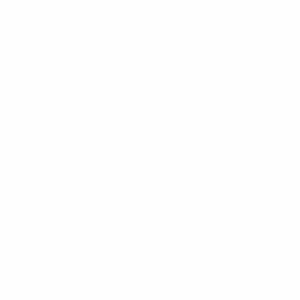 cropped cropped 1000177624.png